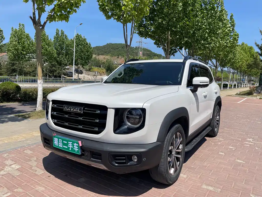 Haval Big Dog 2021
