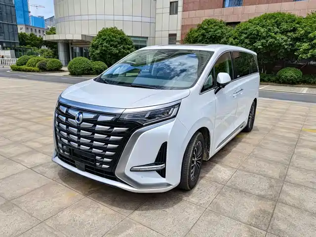 2023 Denza D9