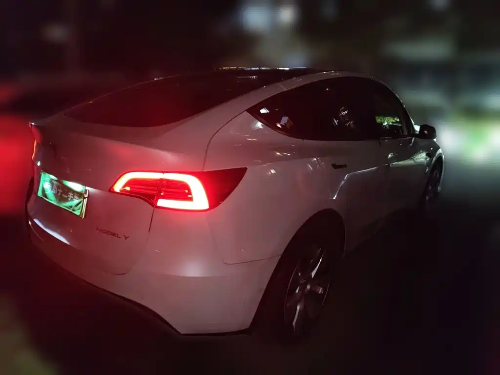 Tesla Model Y — миниатюра 4