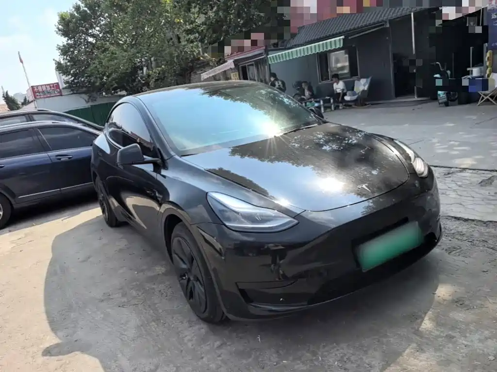Tesla Model Y — миниатюра 4