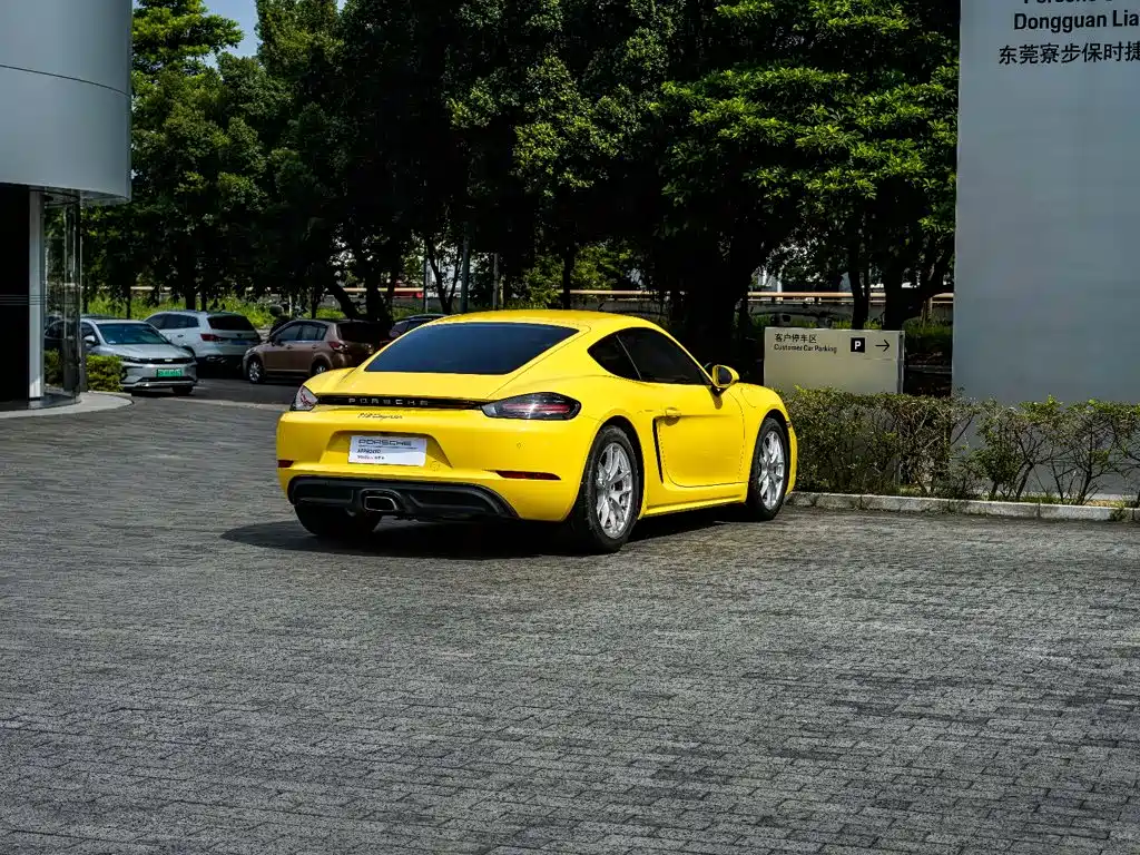 Porsche 718 — миниатюра 10