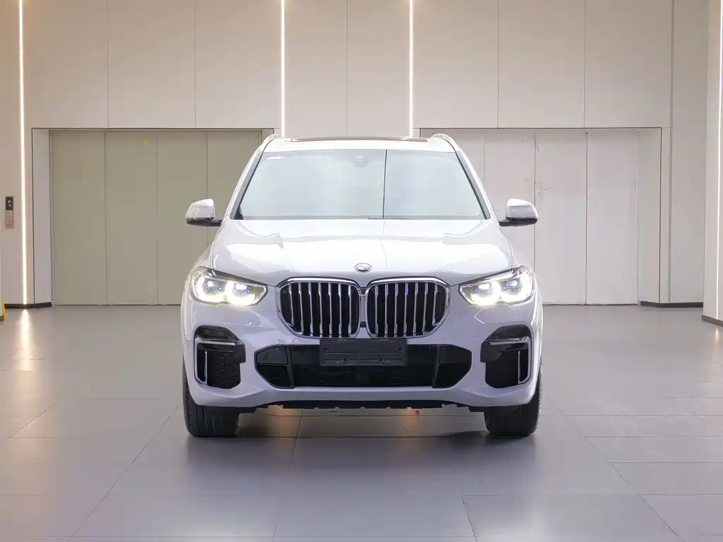 BMW X5 — миниатюра 2
