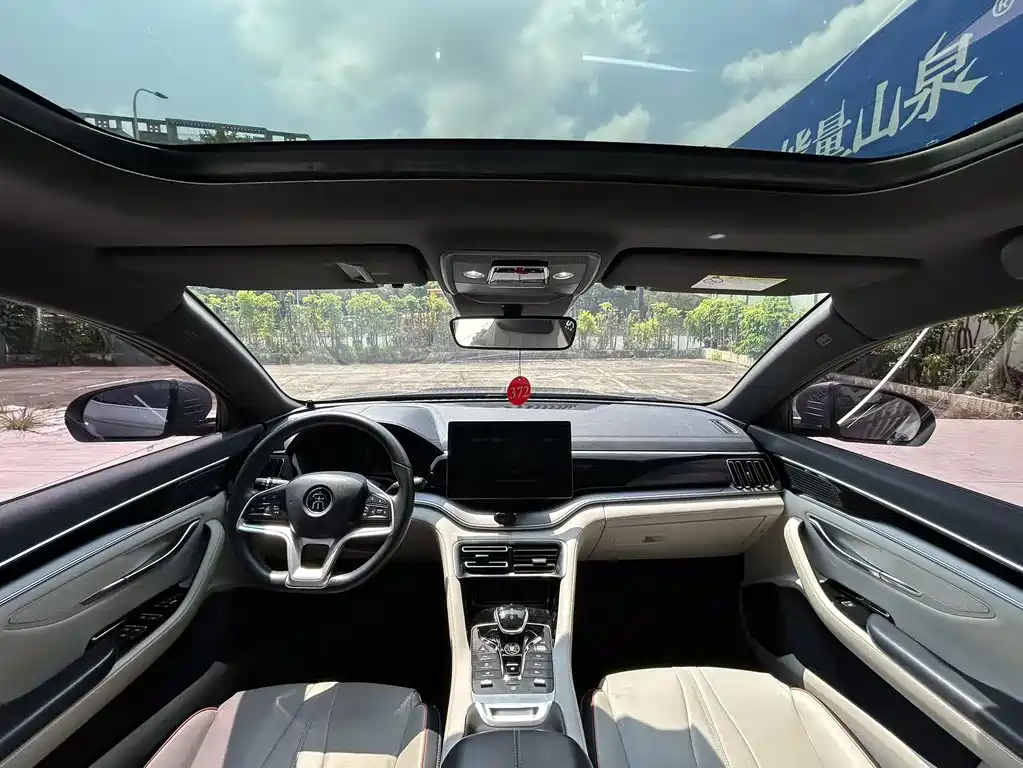 BYD PLUS New Energy — миниатюра 6