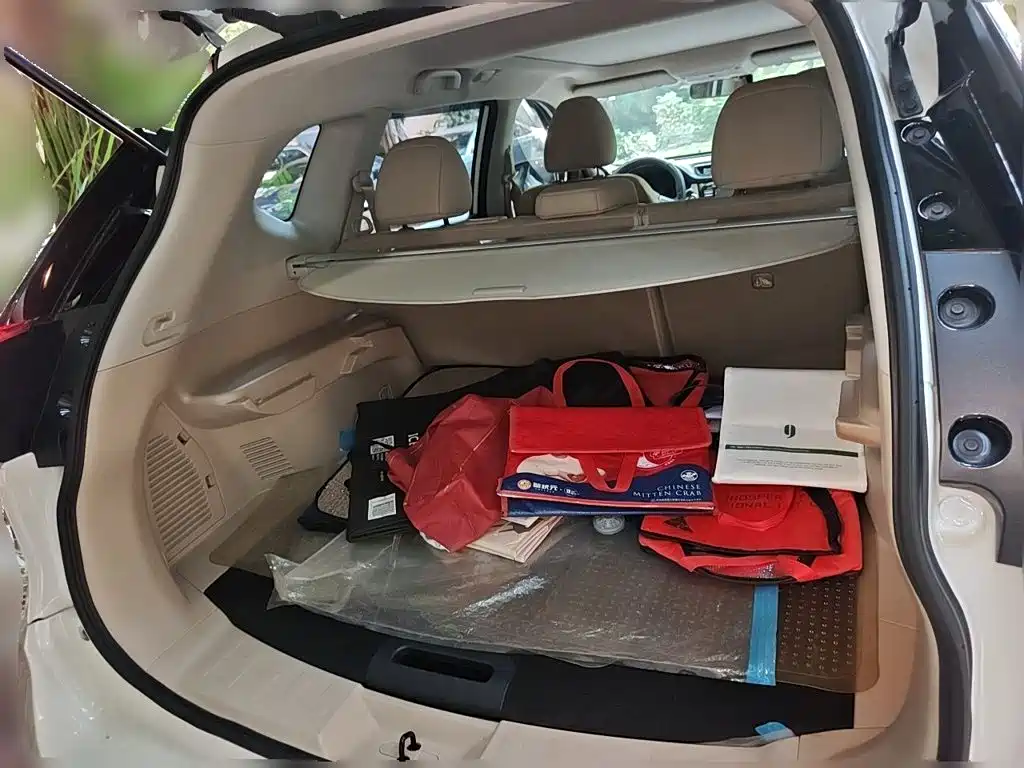 Nissan X-Trail — миниатюра 15