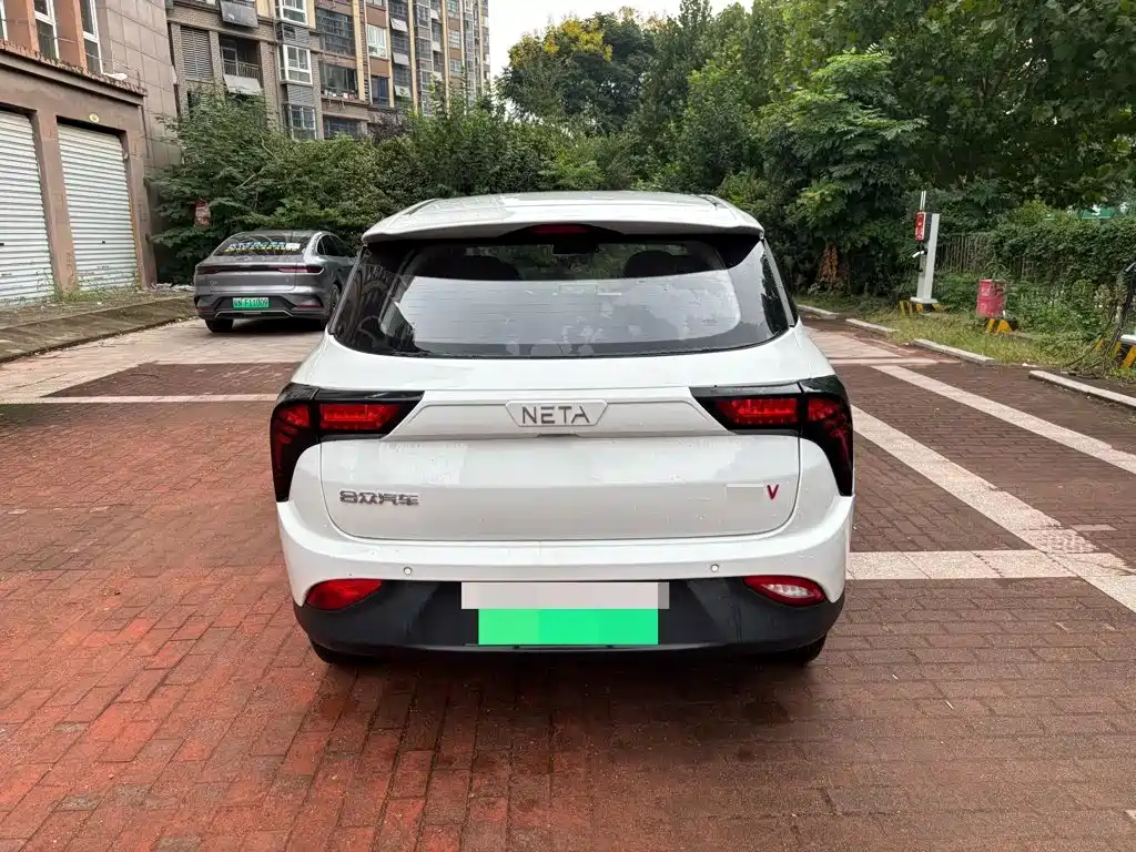 Neta Neta V — миниатюра 7