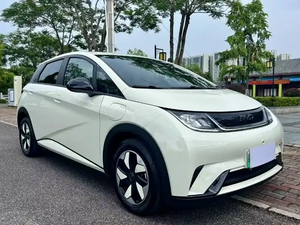 BYD Dolphin — миниатюра 3