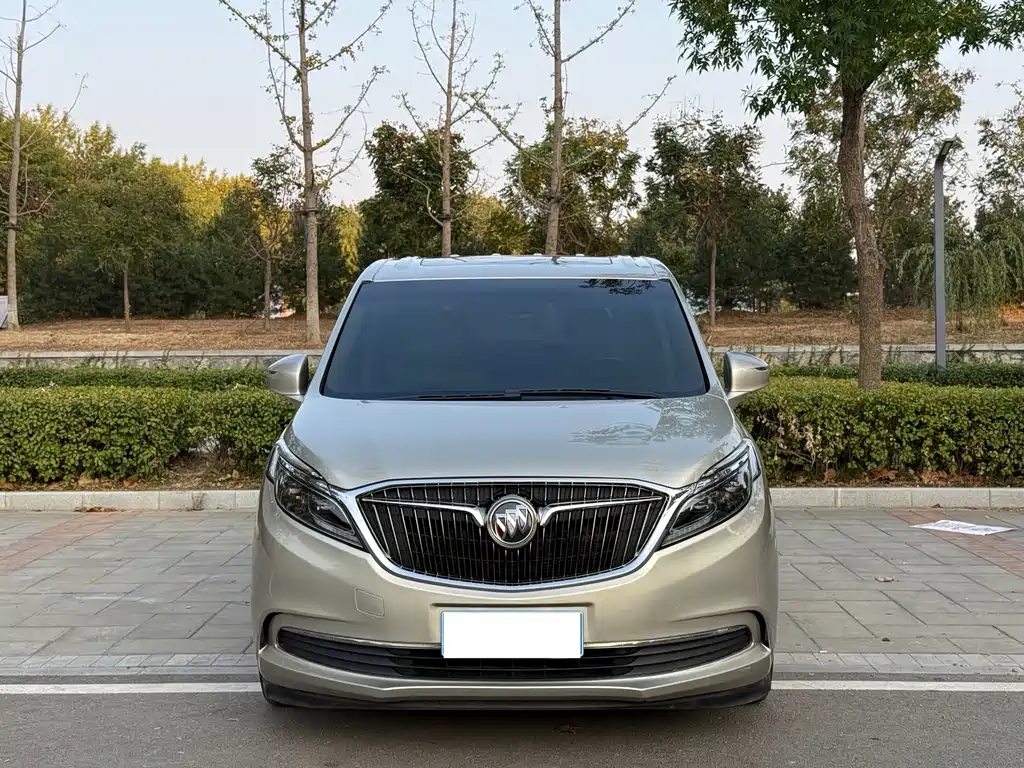 Buick GL8 — миниатюра 2