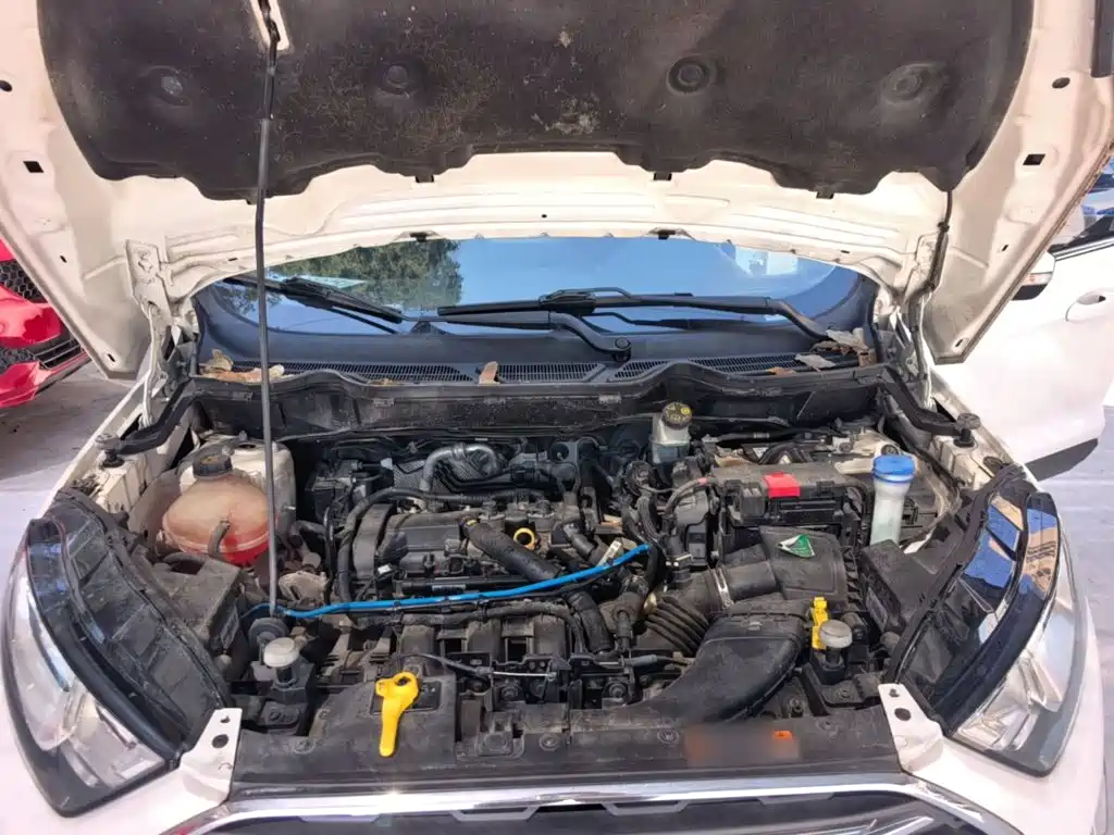 Ford Ecosport — миниатюра 20