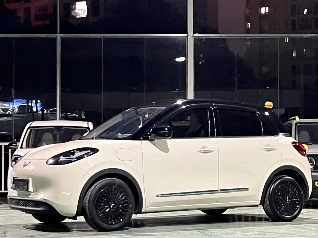 Wuling Bingo 2025