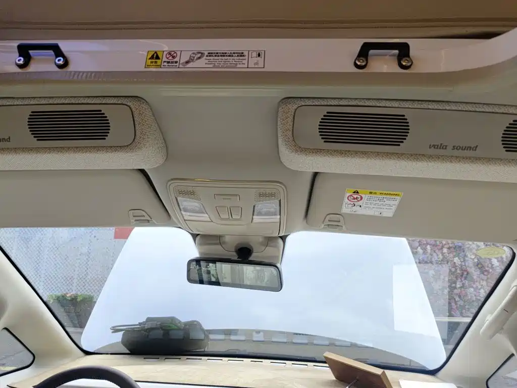 BAIC vala pro