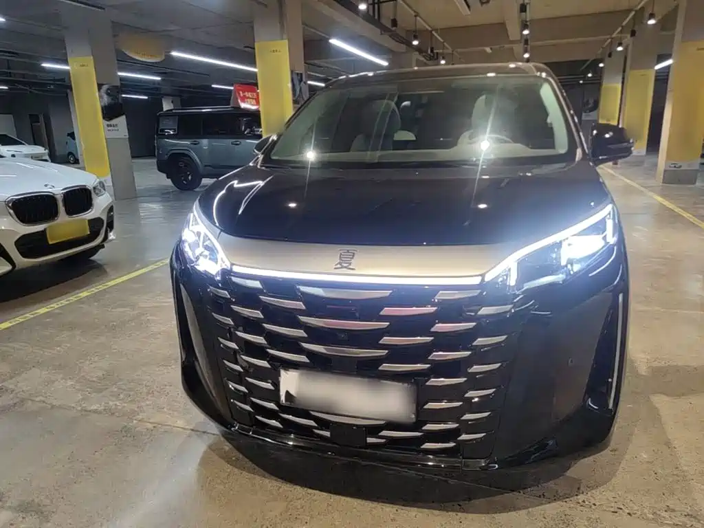 BYD Xia — миниатюра 3
