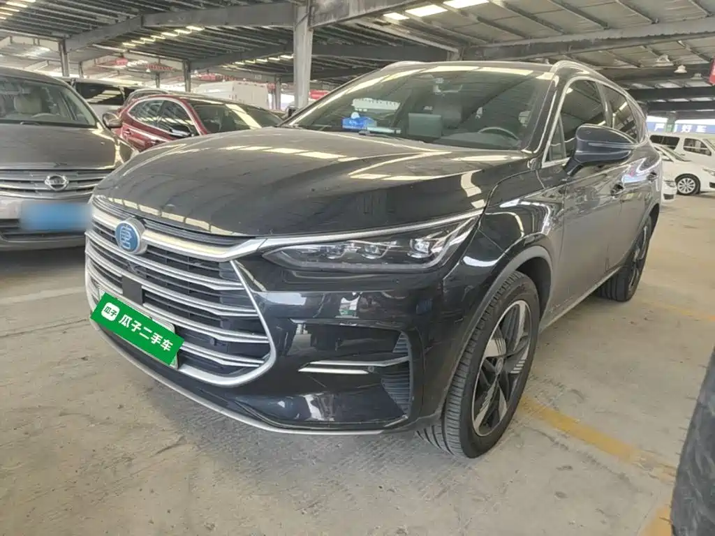 BYD Tang New Energy — миниатюра 2