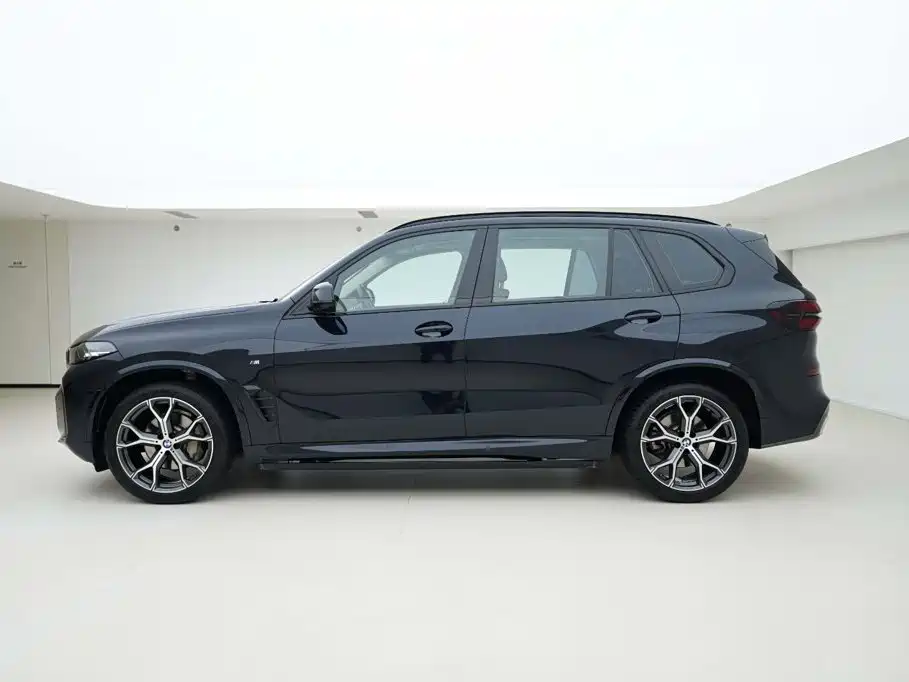 BMW X5 — миниатюра 3