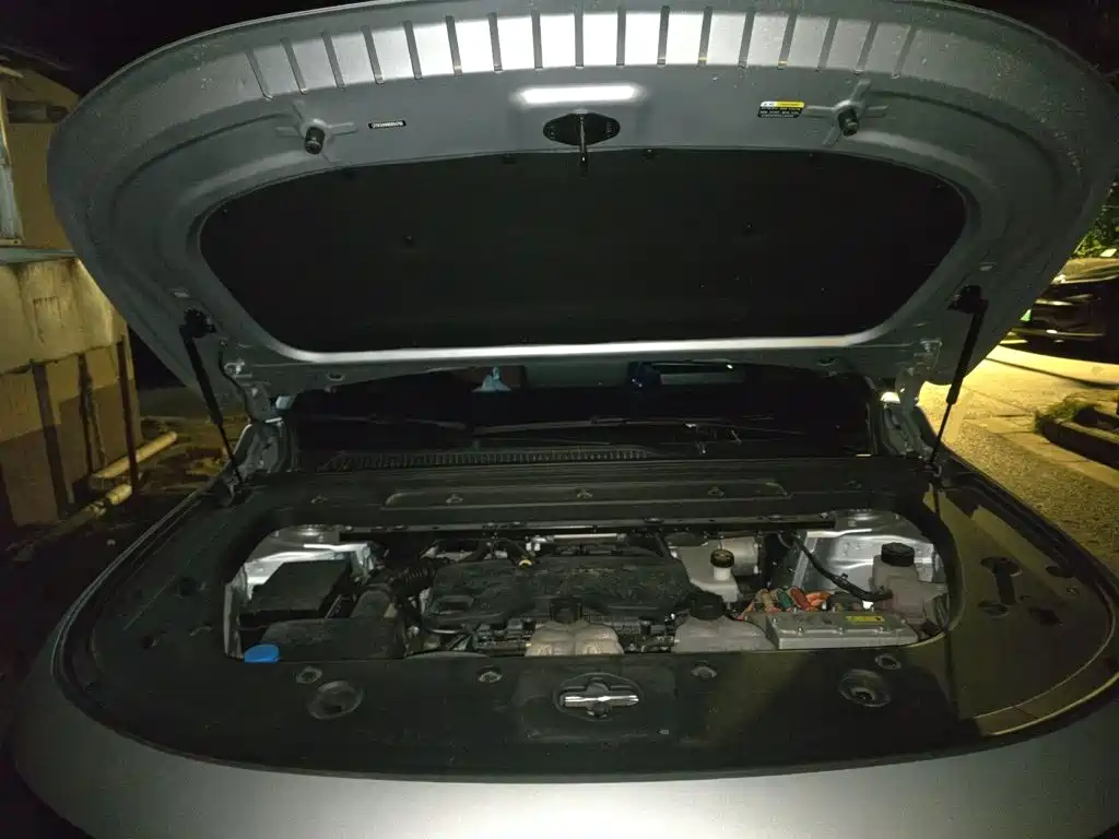 Leapmotor Leapmotor C16 — миниатюра 16