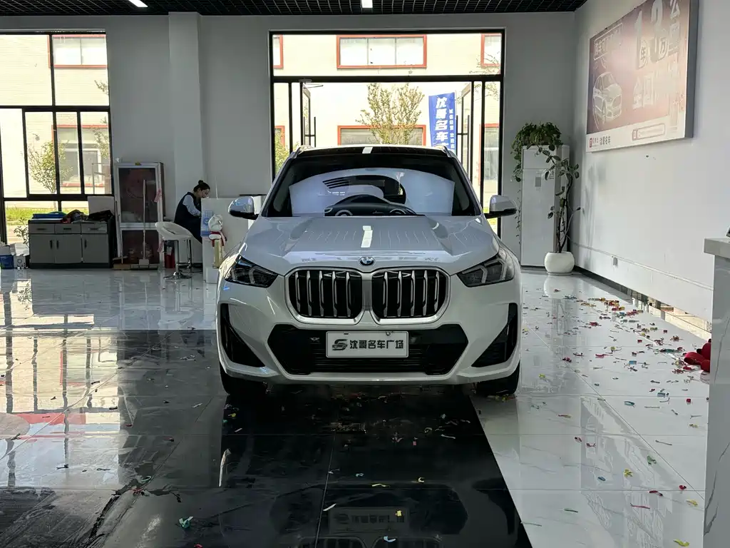 BMW X1 — миниатюра 2