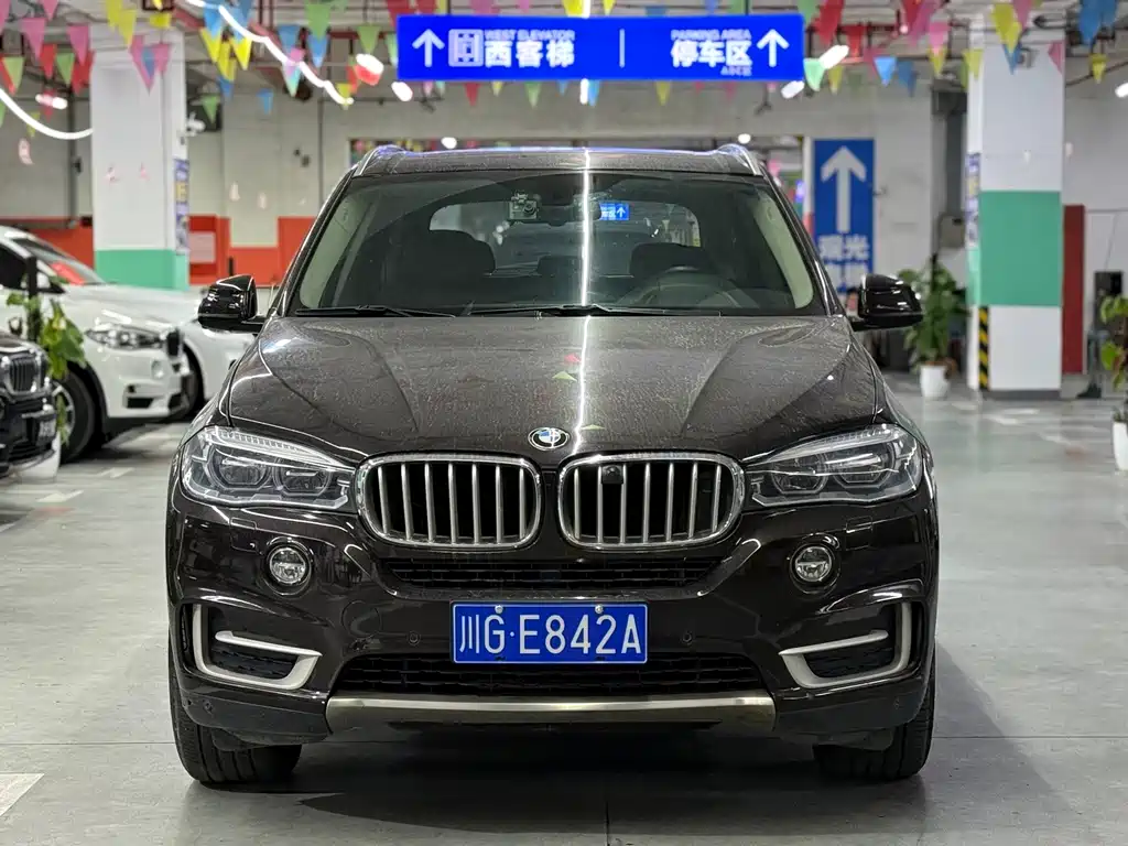 BMW X5 (Import) — миниатюра 2