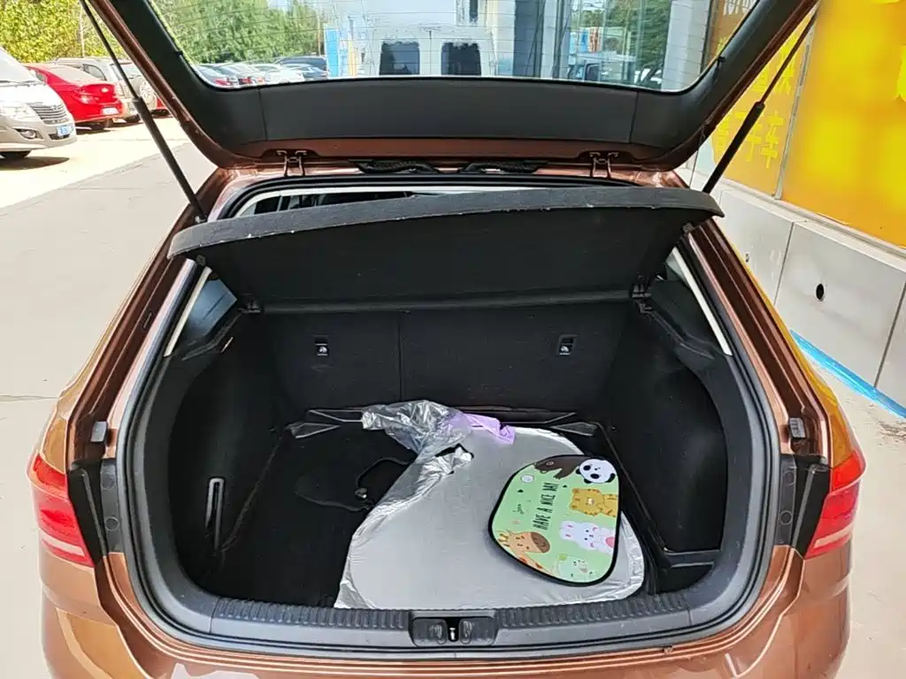 Volkswagen Gran Lavida — миниатюра 19