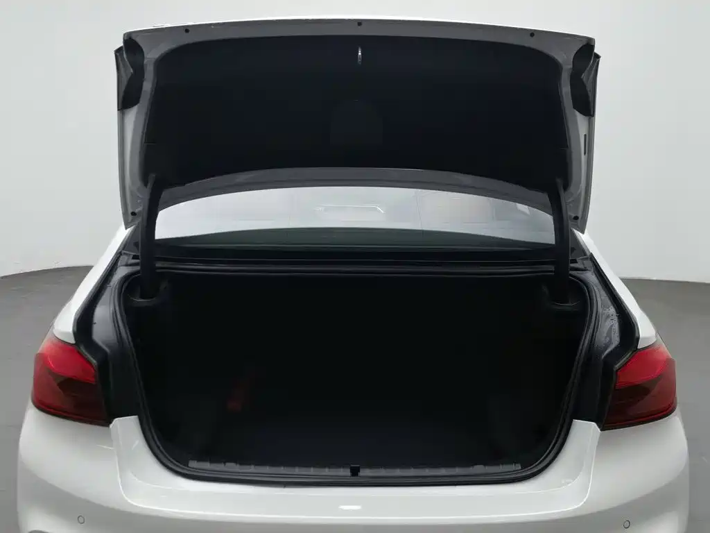 BMW 5 Series — миниатюра 16