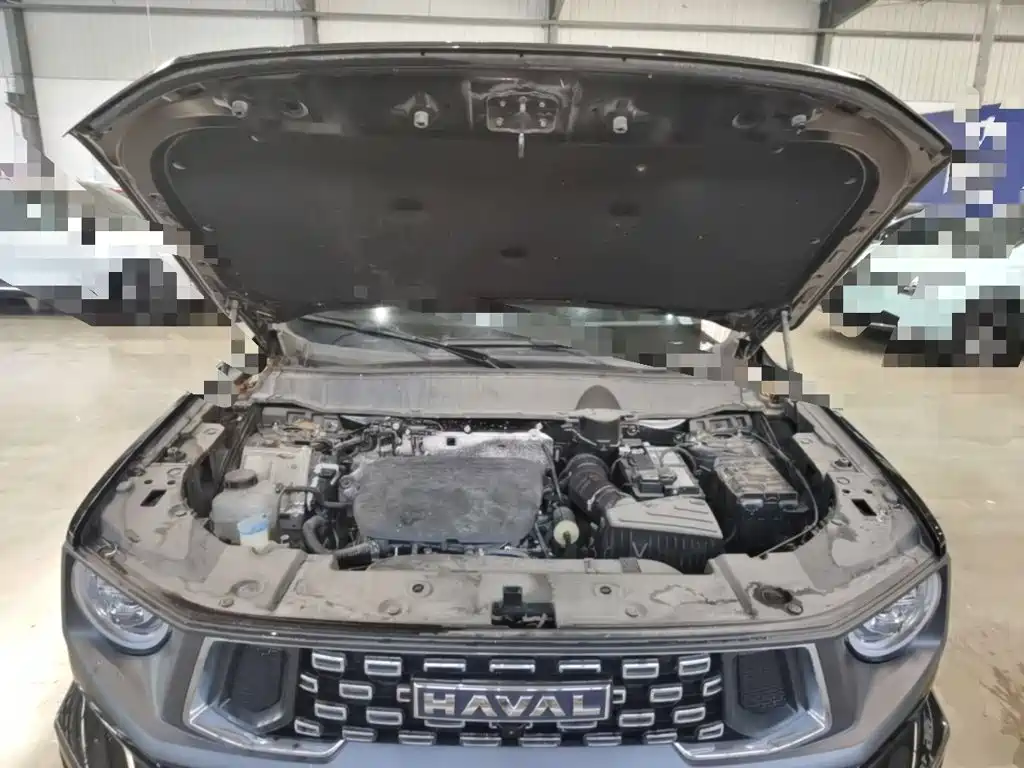 Haval Big Dog PLUS — миниатюра 20