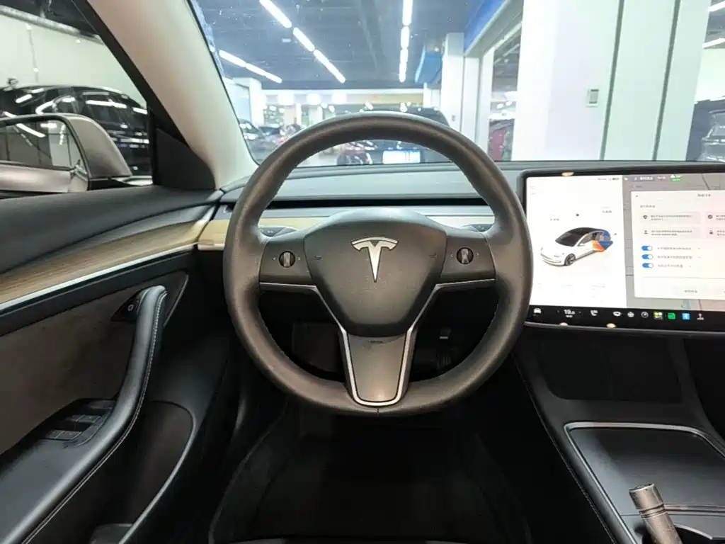 Tesla Model 3 — миниатюра 11