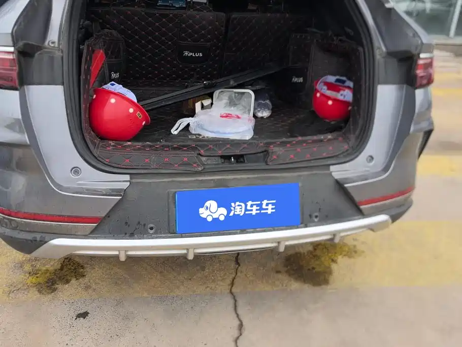 BYD PLUS — миниатюра 4