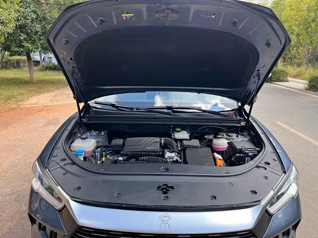 BYD Pro New Energy — миниатюра 24