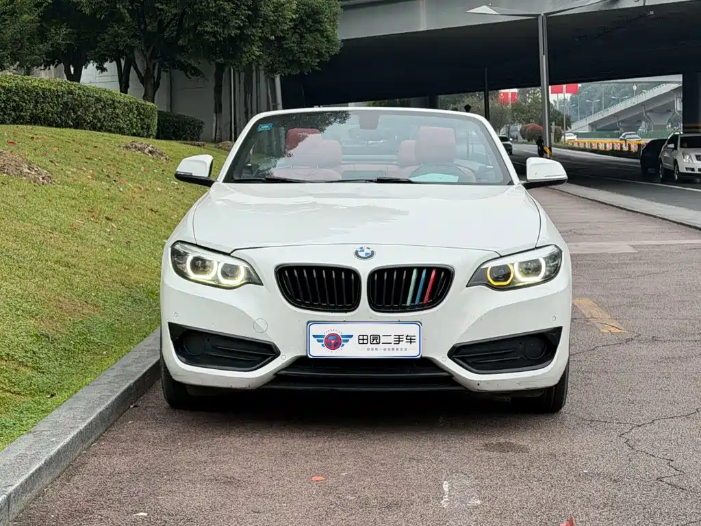 BMW 2 Series (Import) — миниатюра 2