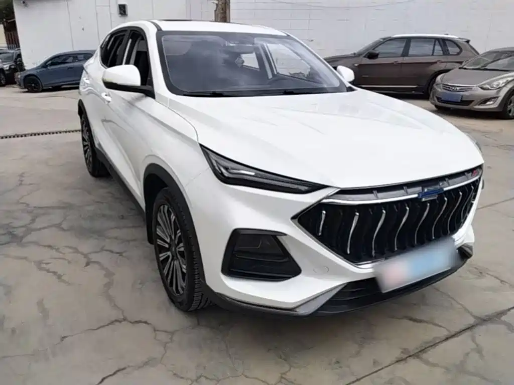 Oshan Oushang X5 — миниатюра 4