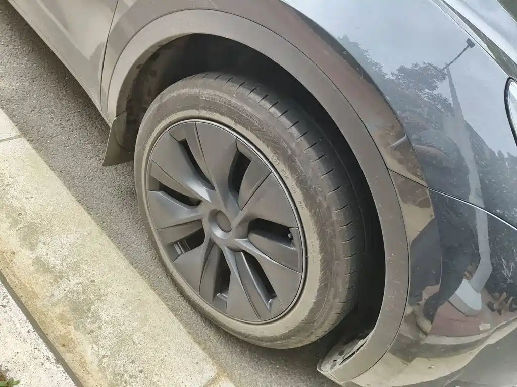 Tesla Model Y — миниатюра 26