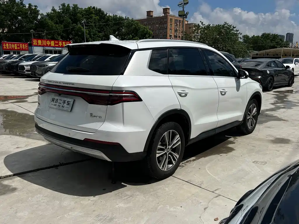 BYD Pro — миниатюра 7