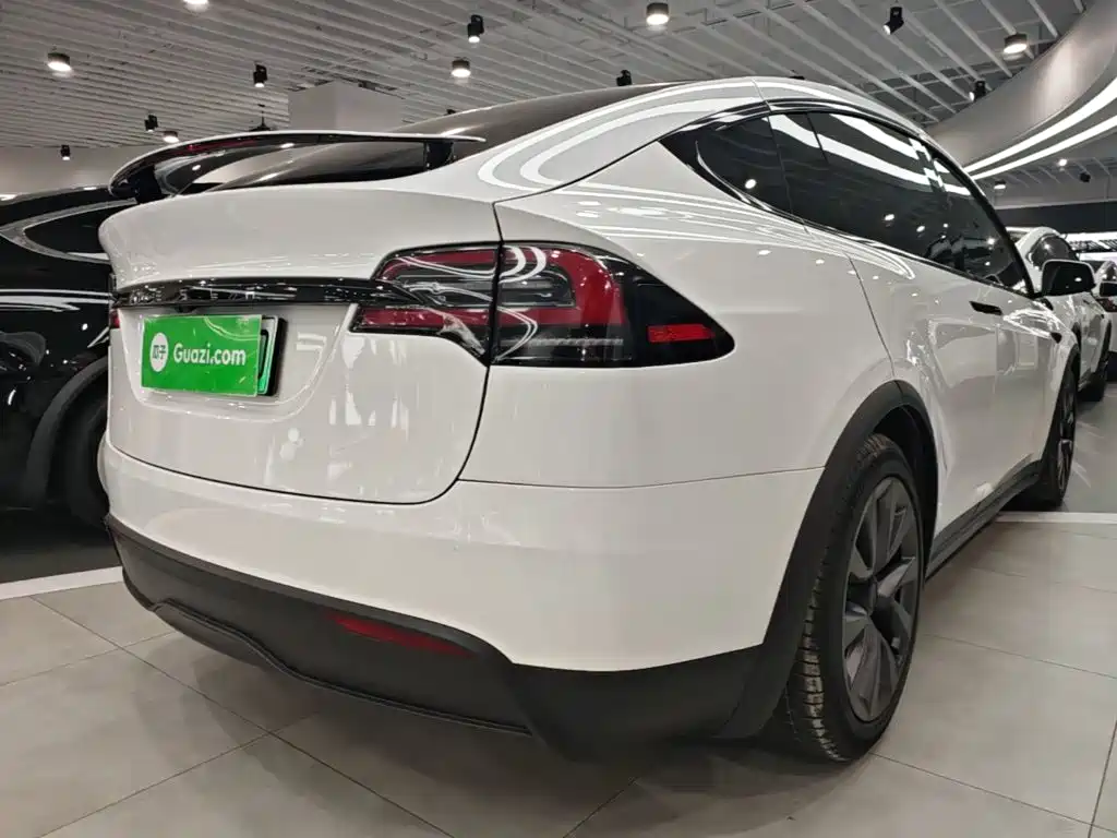 Tesla Model X — миниатюра 7