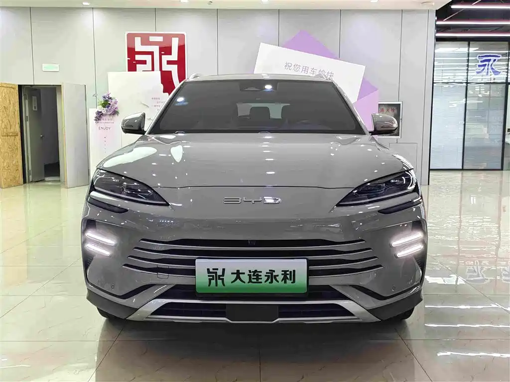 BYD PLUS New Energy — миниатюра 2