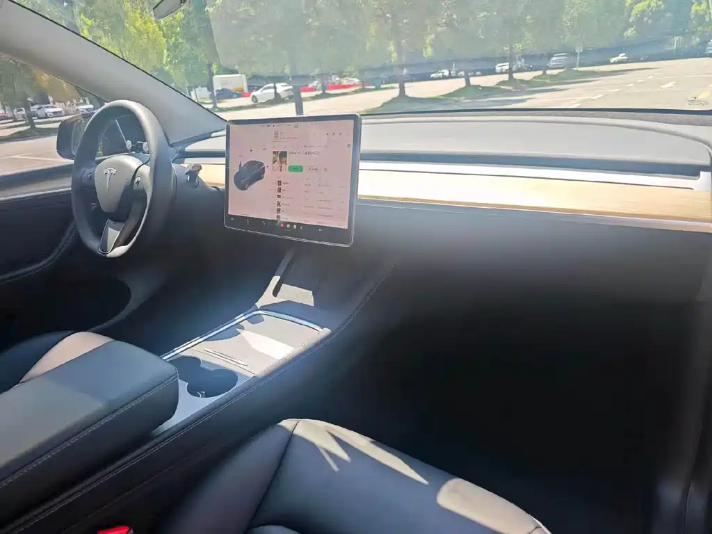 Tesla Model Y — миниатюра 9