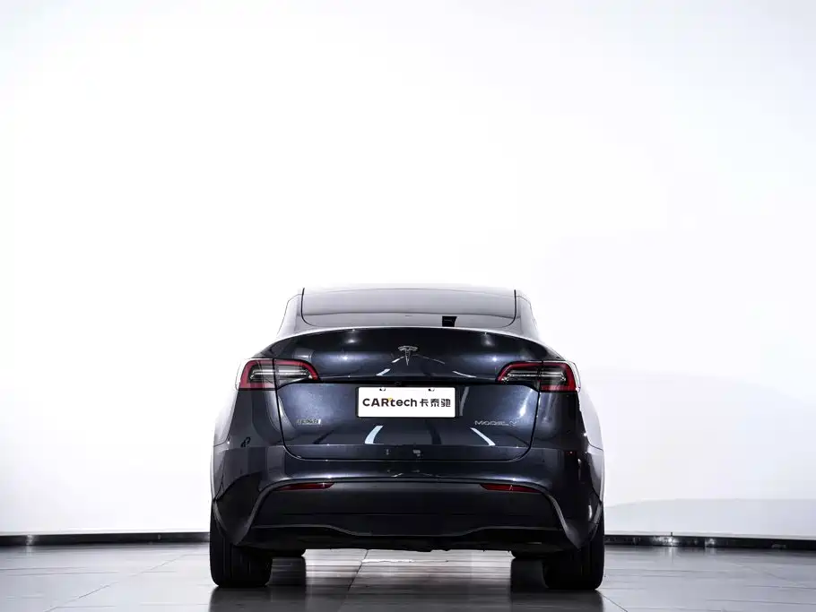 Tesla Model Y — миниатюра 7