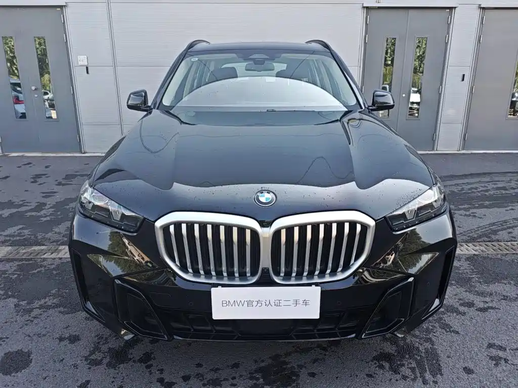 BMW X5 — миниатюра 4