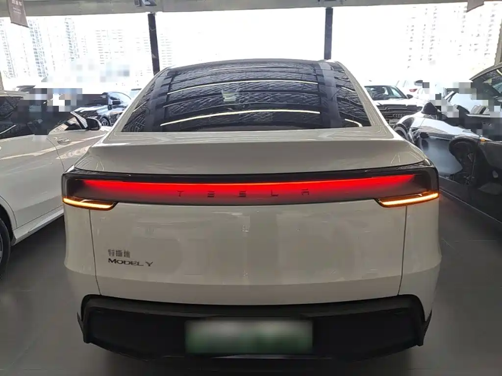 Tesla Model Y — миниатюра 6