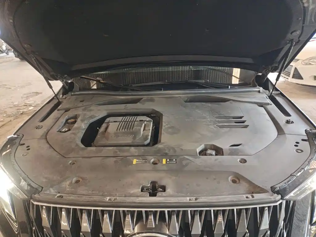 GAC Motor Trumpchi GS8 — миниатюра 20