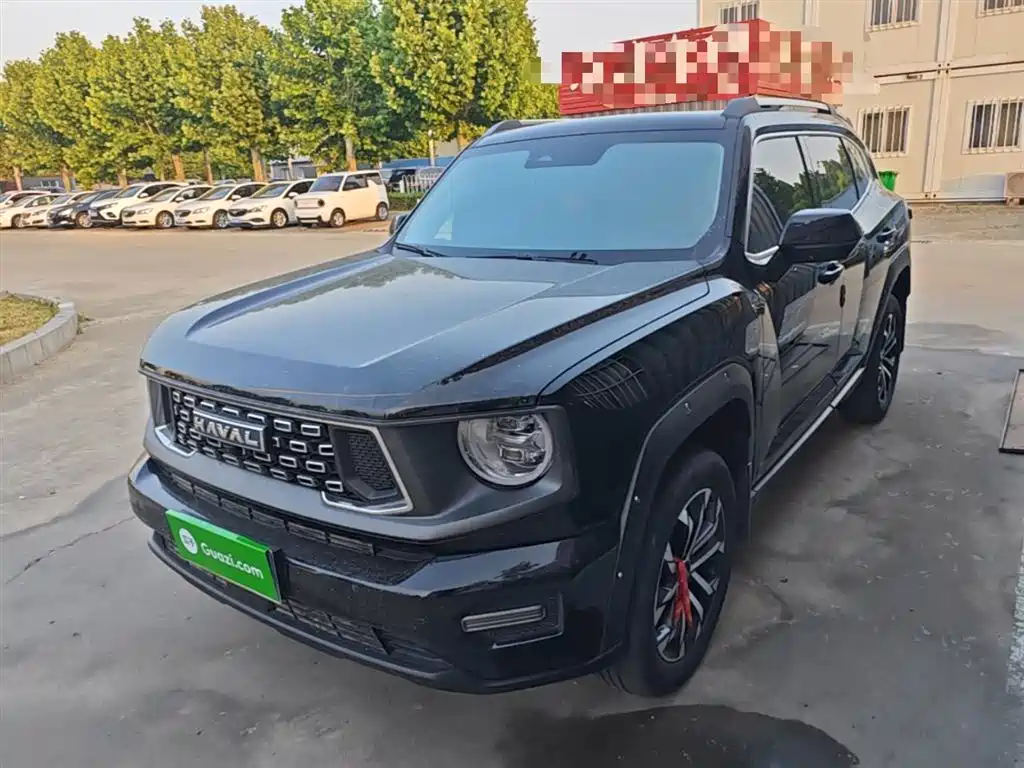 Haval 哈弗大狗 PLUS 2024