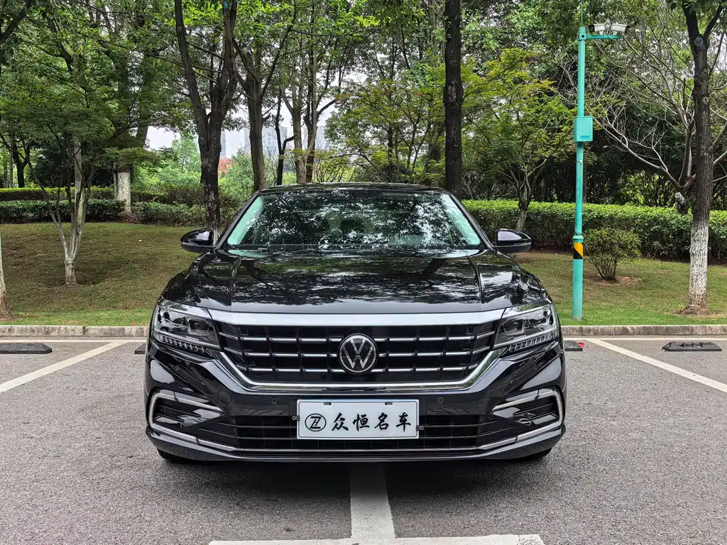 Volkswagen Passat — миниатюра 2