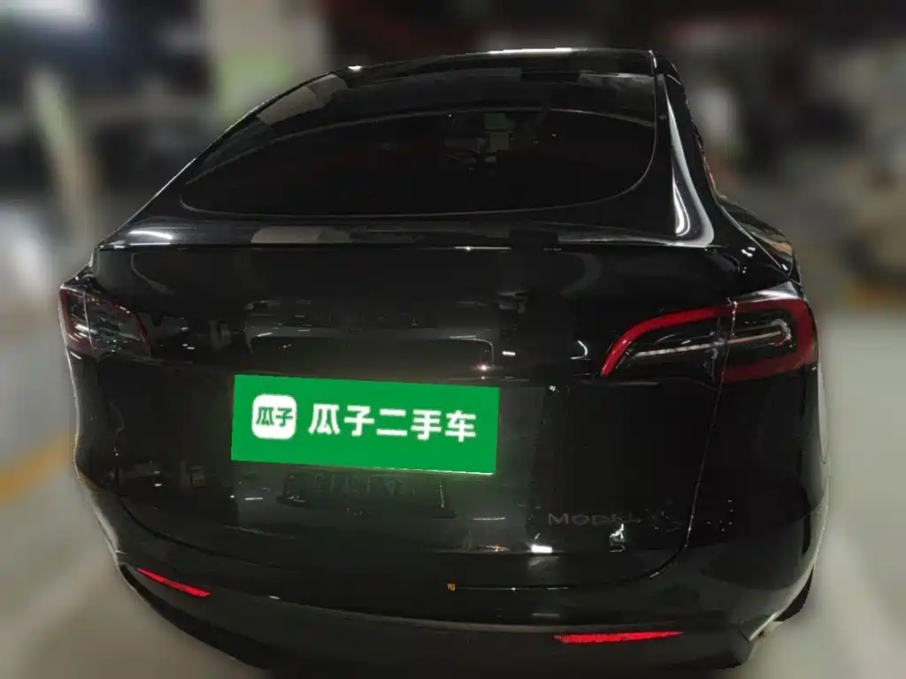 Tesla Model Y — миниатюра 3