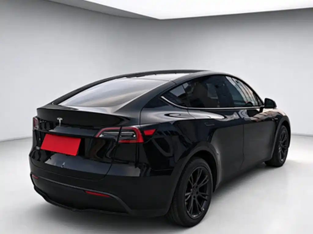 Tesla Model Y — миниатюра 2