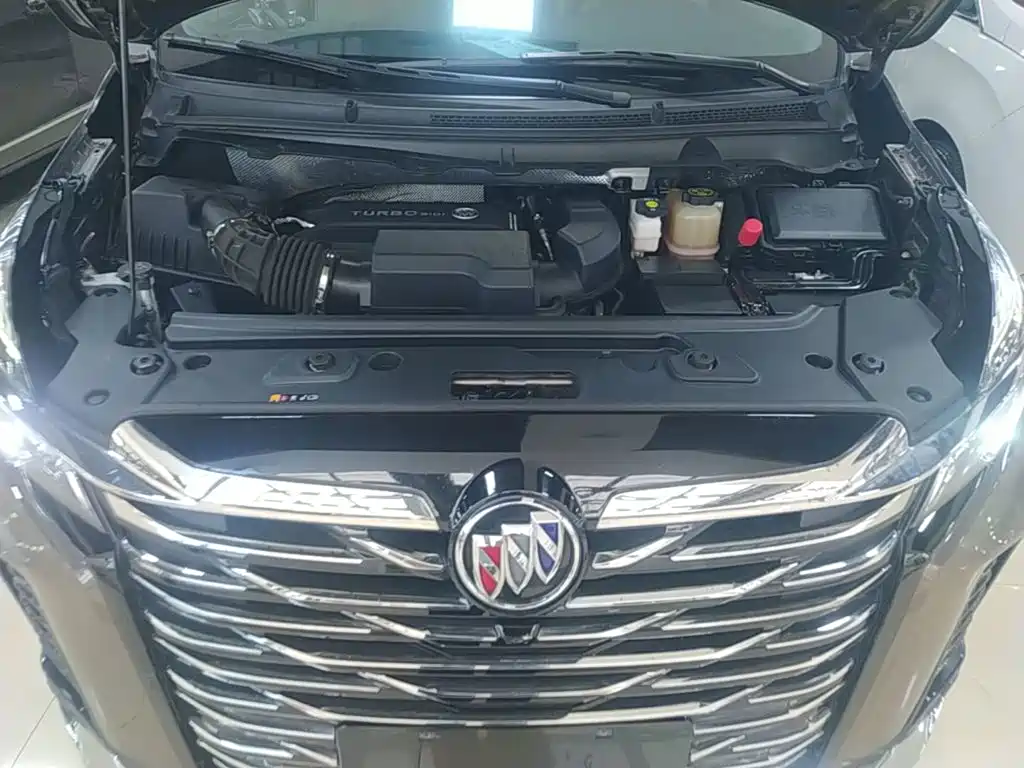 Buick GL8 — миниатюра 20