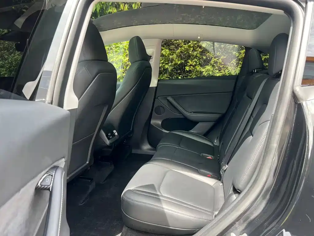 Tesla Model Y — миниатюра 9