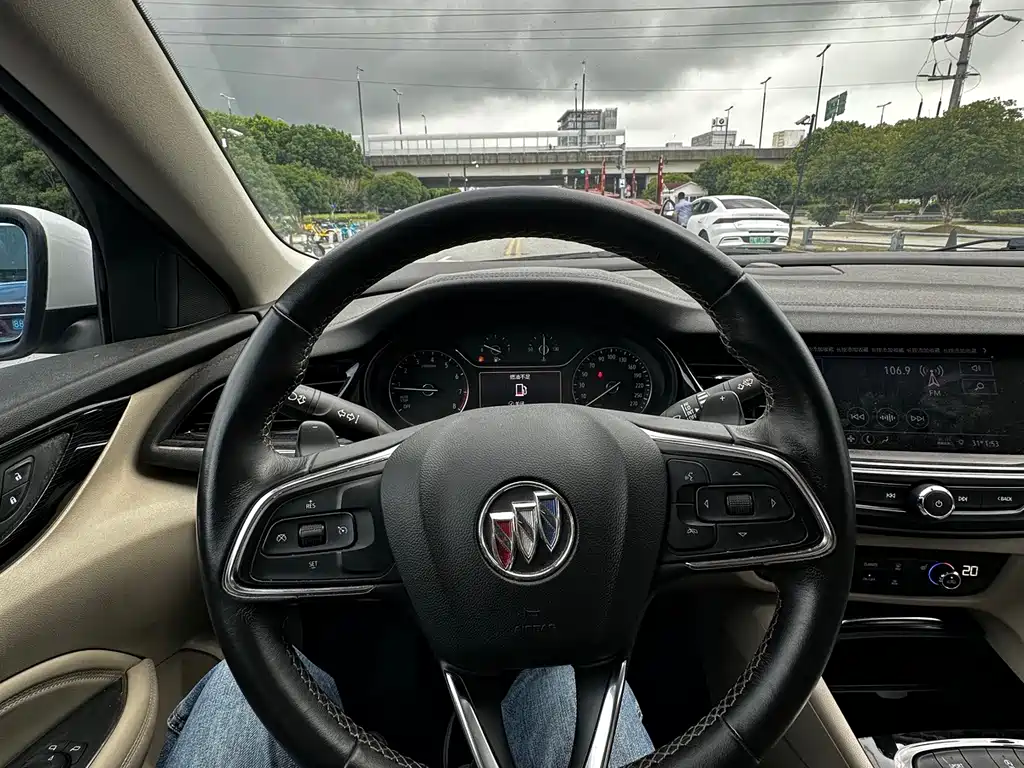 Buick Regal — миниатюра 13