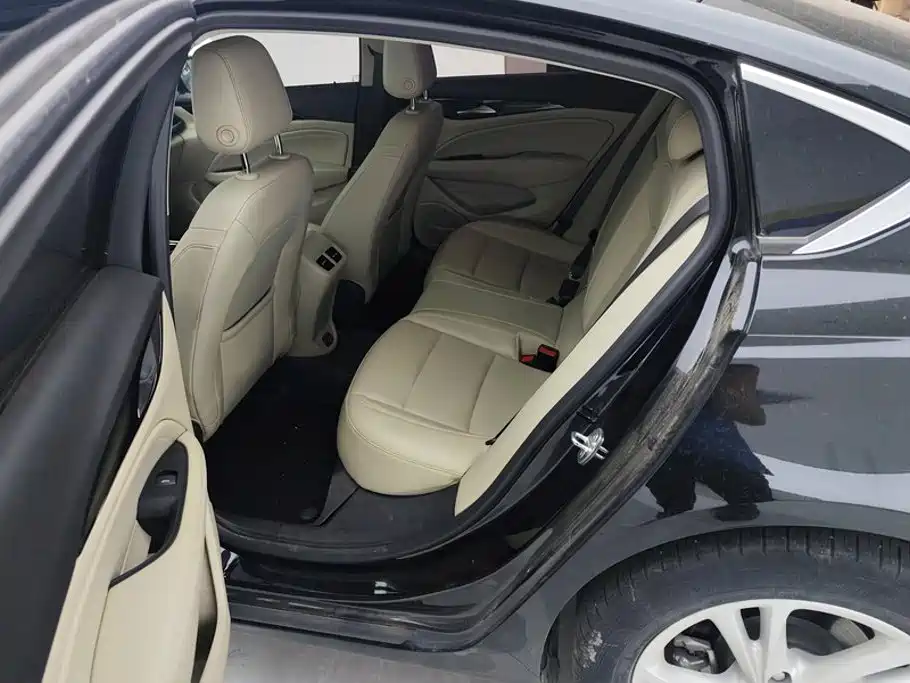 Buick Regal — миниатюра 11