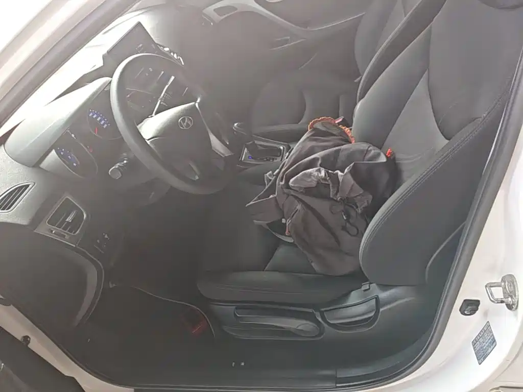 Hyundai Elantra Langdong — миниатюра 15