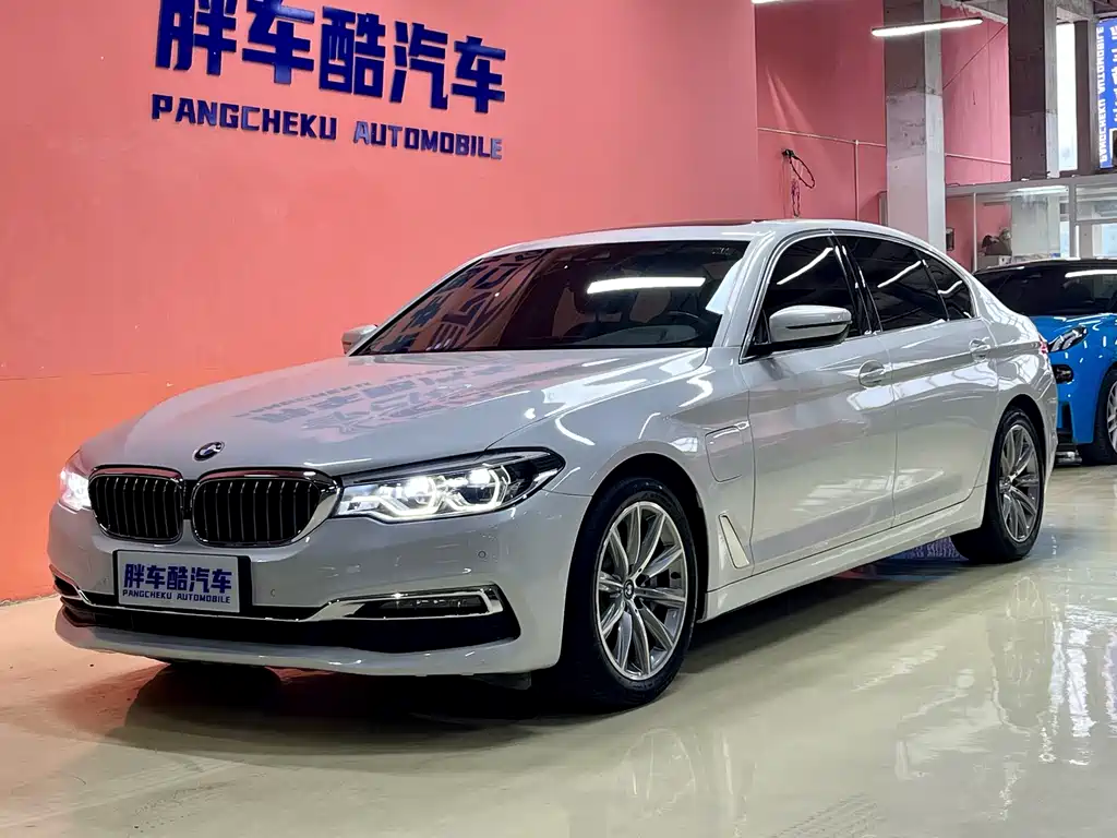BMW 5 Series New Energy 2018