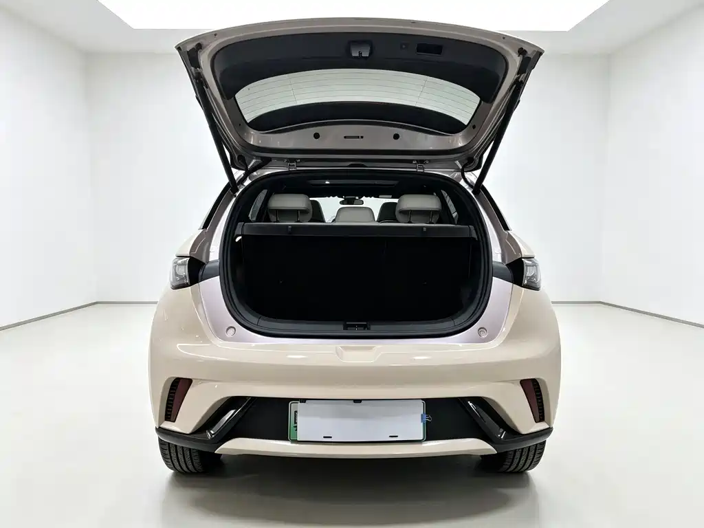BYD Dolphin — миниатюра 11