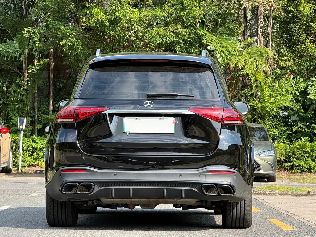 Mercedes-Benz GLE New Energy — миниатюра 7