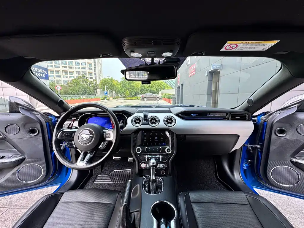 Ford Mustang — миниатюра 14